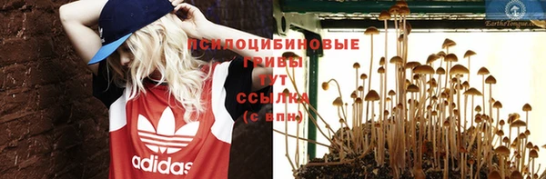 не бодяженный Арсеньев