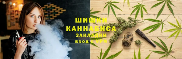 не бодяженный Арсеньев